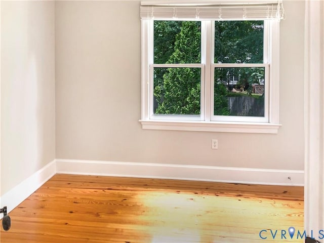 3621 Rolridge Rd, Henrico, VA 23233 - photo 33