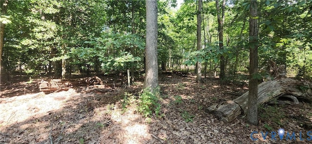 14316 Garnett Ln, Midlothian, VA 23114 - photo 1