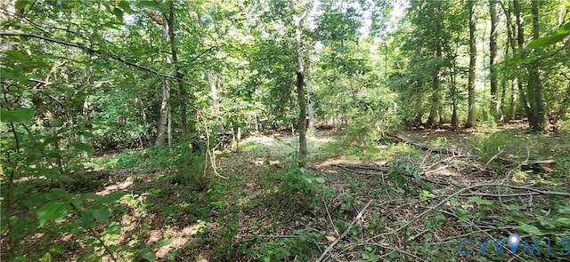 14316 Garnett Ln, Midlothian, VA 23114 - photo 3
