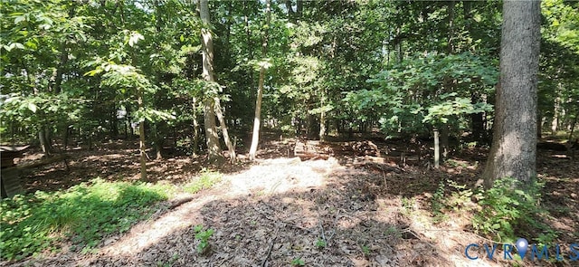 14316 Garnett Ln, Midlothian, VA 23114 - photo 4