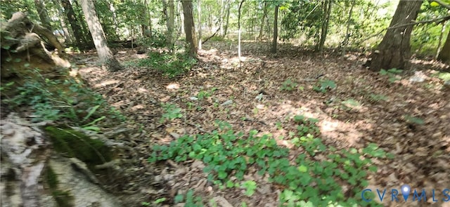 14316 Garnett Ln, Midlothian, VA 23114 - photo 5