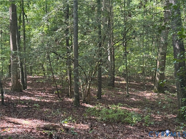 34 Purkins Ct, Tappahannock, VA 22560 - photo 1