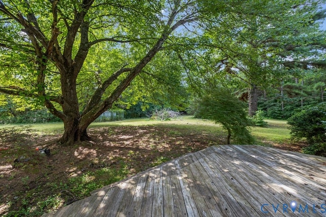 1912 Capeway Rd, Powhatan, VA 23139 - photo 16