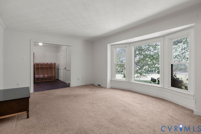 16064 Binns Rd, Doswell, VA 23047 - photo 9