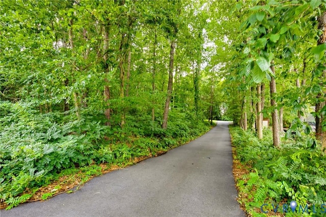 9215 Mapleway Rd, Henrico, VA 23229 - photo 24