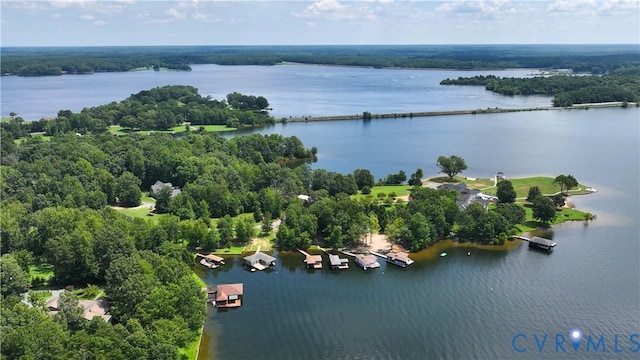 21 Browns Point Ln, Bumpass, VA 23024 - photo 3