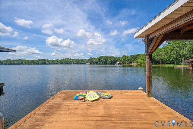 21 Browns Point Ln, Bumpass, VA 23024 - photo 1