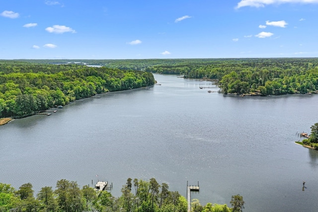 390 Captains Point Ln, Heathsville, VA 22473 - photo 48