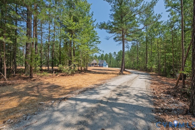 2349 Wickham Rd, Louisa, VA 23024 - photo 45