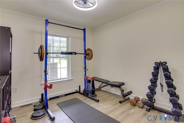 7470 Silver Maple Dr, Jetersville, VA 23083 - photo 35
