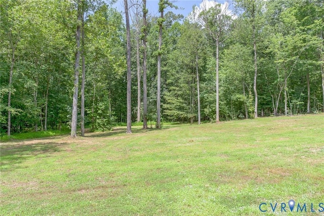 7470 Silver Maple Dr, Jetersville, VA 23083 - photo 44