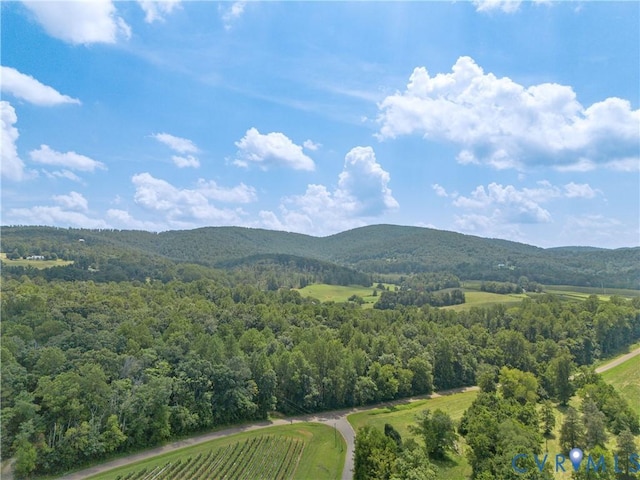 2207 Carpenters Mill Rd, Barboursville, VA 22923 - photo 40