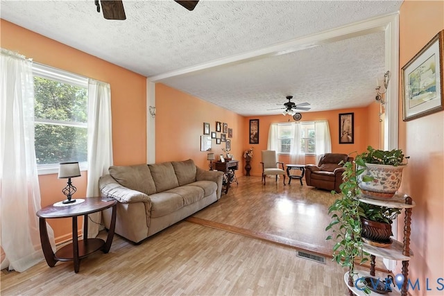 2481 Falkland Rd, Meherrin, VA 23954 - photo 4