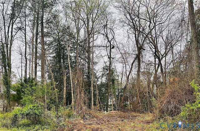 10706 Kriserin Cir, Chester, VA 23831 - photo 1