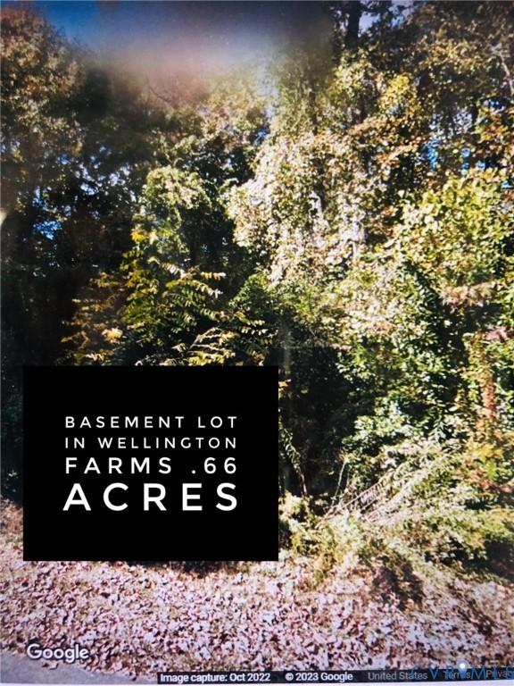 10706 Kriserin Cir, Chester, VA 23831 - photo 2