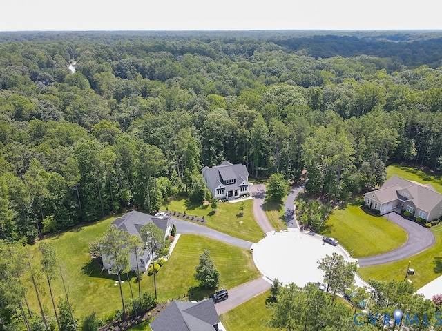 12830 Crathes Ln, Chesterfield, VA 23838 - photo 47
