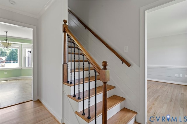 12359 Ashcake Rd, Hanover, VA 23005 - photo 13