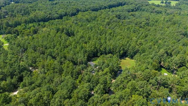 4758 Powhatan Lakes Rd, Powhatan, VA 23139 - photo 43