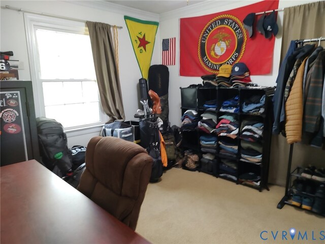 8031 Dabneys Mill Rd, King William, VA 23106 - photo 14
