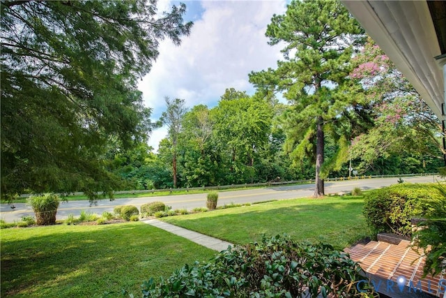 2402 Riverside Dr, Richmond, VA 23225 - photo 7