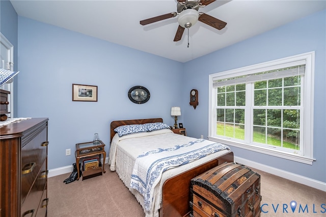 7535 Madison Estates Dr, Hanover, VA 23111 - photo 50