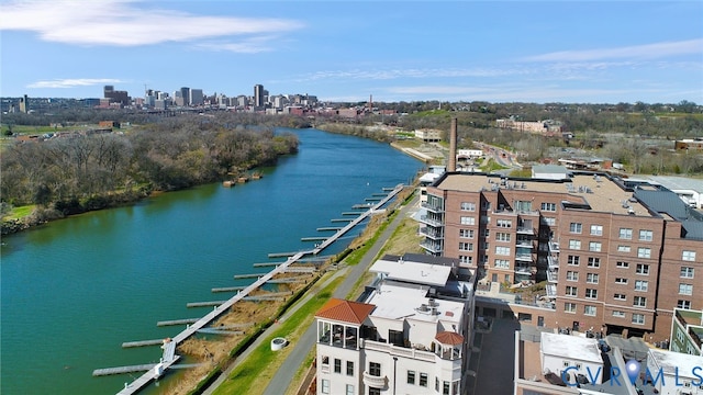 6 Flatwater Row Unit A, Henrico, VA 23231 - photo 38