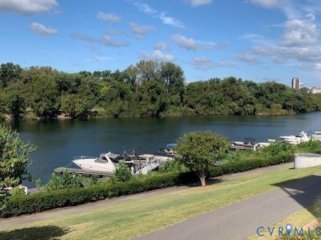 6 Flatwater Row Unit A, Henrico, VA 23231 - photo 46