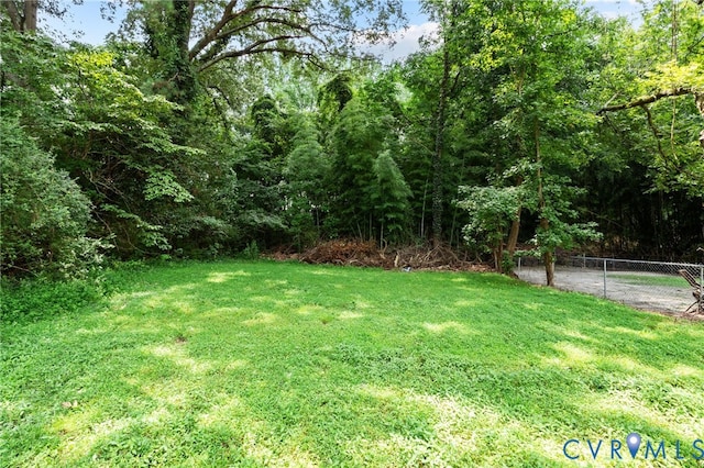 3028 Pickett St, Hopewell, VA 23860 - photo 36