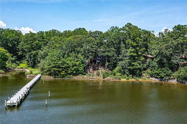 144 Hills Ln, Lancaster, VA 22503 - photo 5