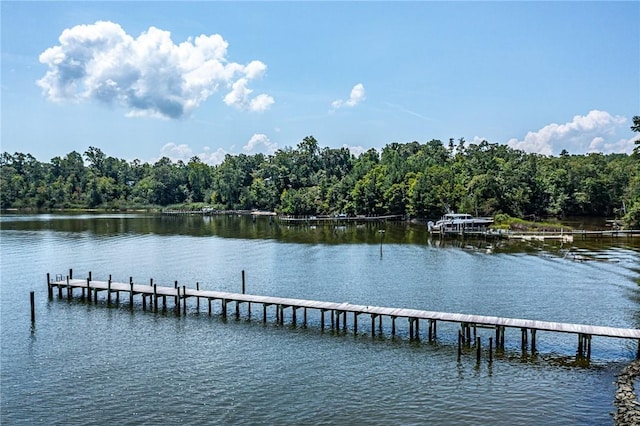 144 Hills Ln, Lancaster, VA 22503 - photo 42