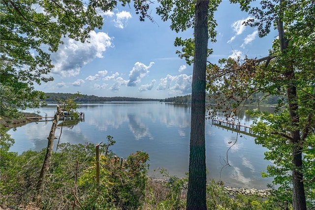 144 Hills Ln, Lancaster, VA 22503 - photo 45