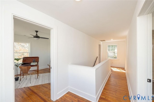 1128 Palm St, Hopewell, VA 23860 - photo 15
