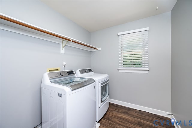 14008 Sandy Oak Rd, Chester, VA 23831 - photo 25