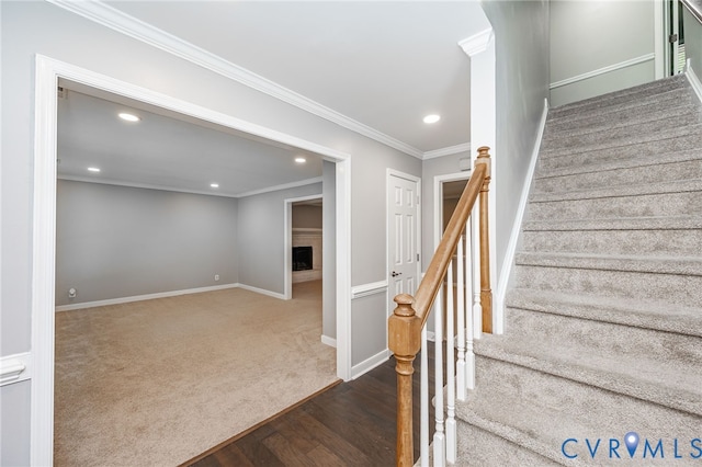 14008 Sandy Oak Rd, Chester, VA 23831 - photo 10