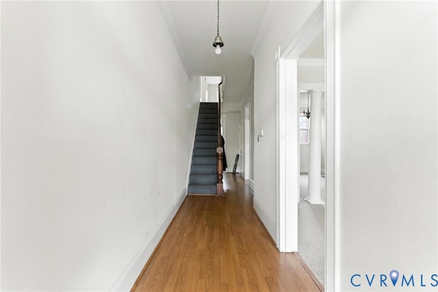 1122 W Marshall St, Richmond, VA 23220 - photo 5