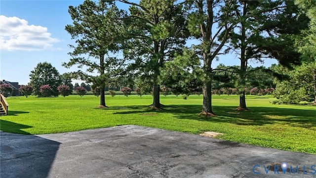 10031 Sir Bradley Ct, Mechanicsville, VA 23116 - photo 42