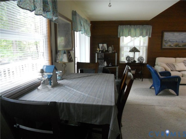 14502 Mistwood Forest Ct, Chesterfield, VA 23831 - photo 12