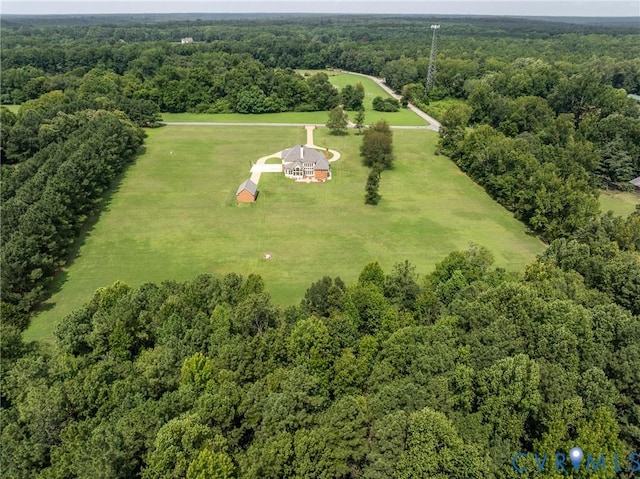 15154 Locust Level Dr, Doswell, VA 23047 - photo 5