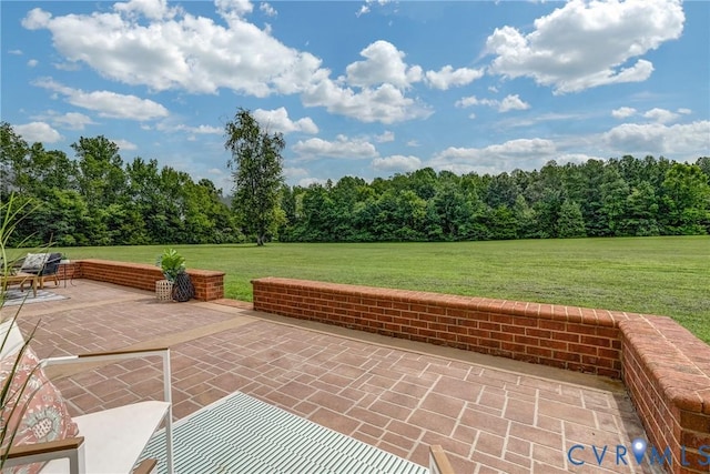 15154 Locust Level Dr, Doswell, VA 23047 - photo 13