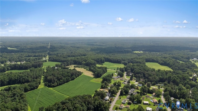 6601 Hagerty Ln, Chesterfield, VA 23838 - photo 30