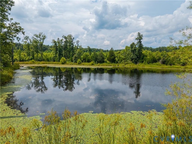 405 Washout Rd, Keysville, VA 23947 - photo 33