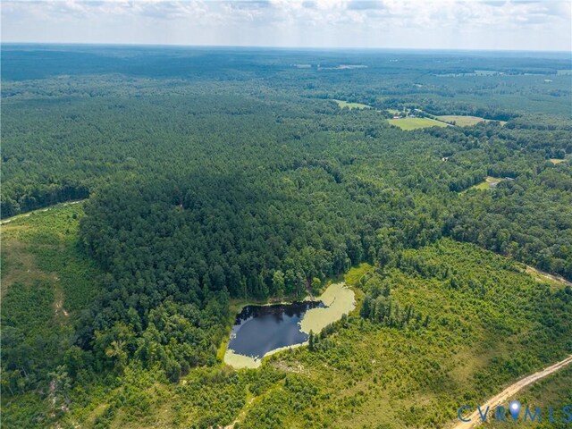 405 Washout Rd, Keysville, VA 23947 - photo 34