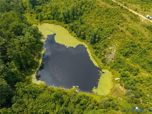 405 Washout Rd, Keysville, VA 23947 - photo 30