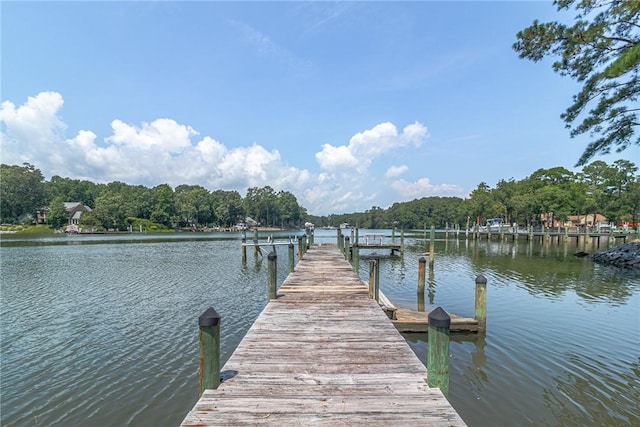 238 N Sioux Rd, Kilmarnock, VA 22482 - photo 5