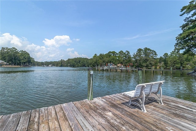238 N Sioux Rd, Kilmarnock, VA 22482 - photo 7