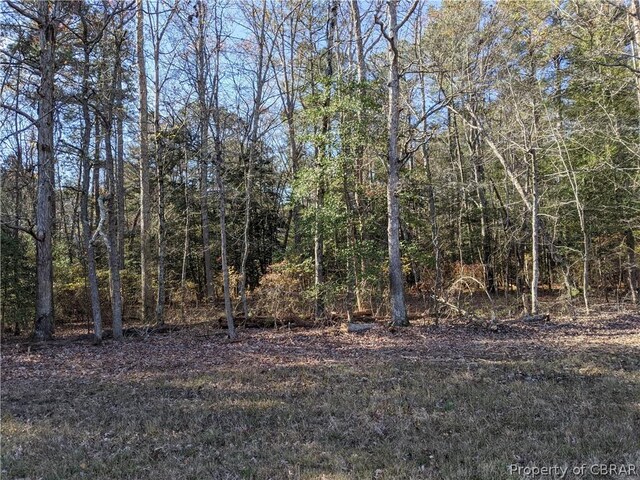 00 J H Seawell Dr, Gloucester, VA 23061