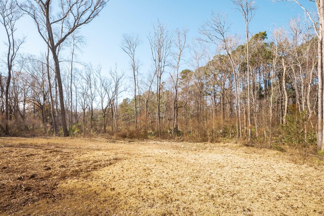 4294 River Rd, Johns Island, SC 29455