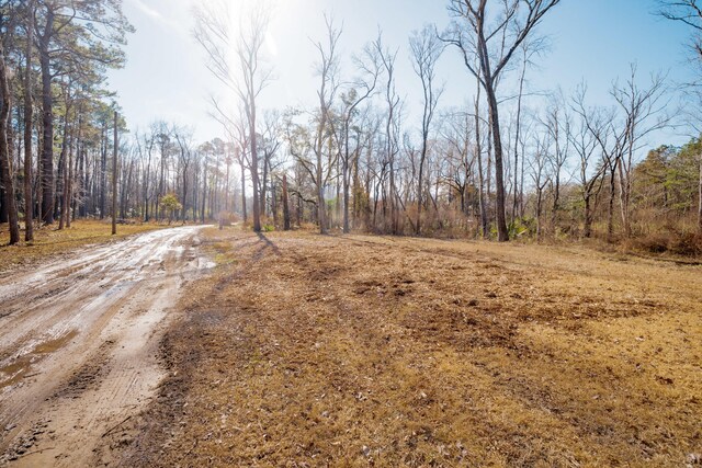 4294 River Rd, Johns Island, SC 29455