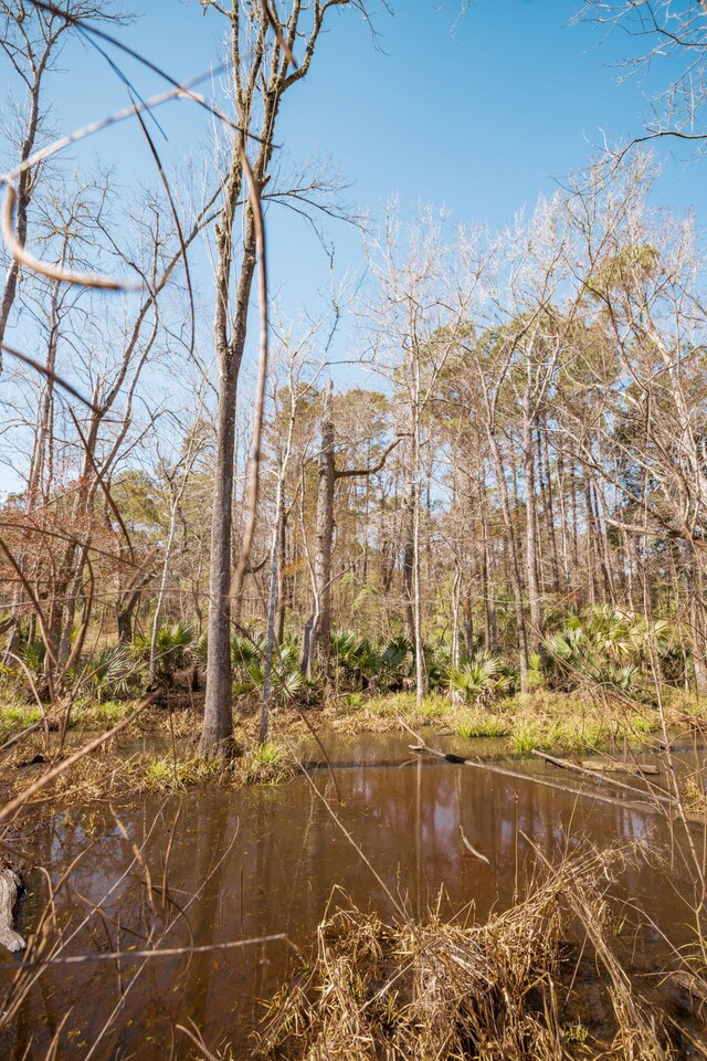 4294 River Rd, Johns Island, SC 29455
