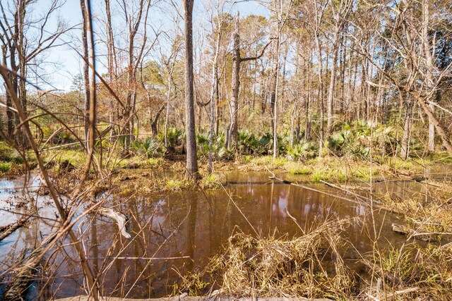 4294 River Rd, Johns Island, SC 29455
